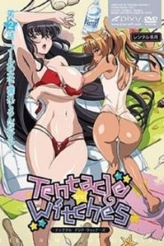Tentacle and Witches 1 Season Online